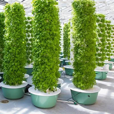 Hydroponic System - Sistemas de Jardins Aeropônicos com Luzes