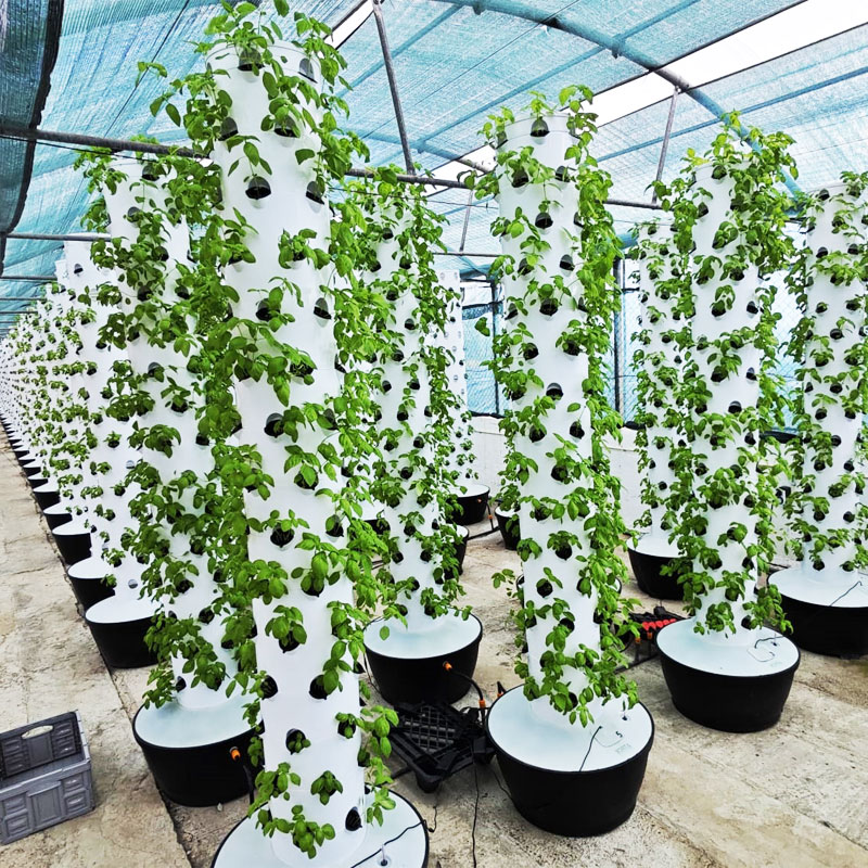 Hydroponic System - Sistema de Cultivo Vertical Hidropônico de
