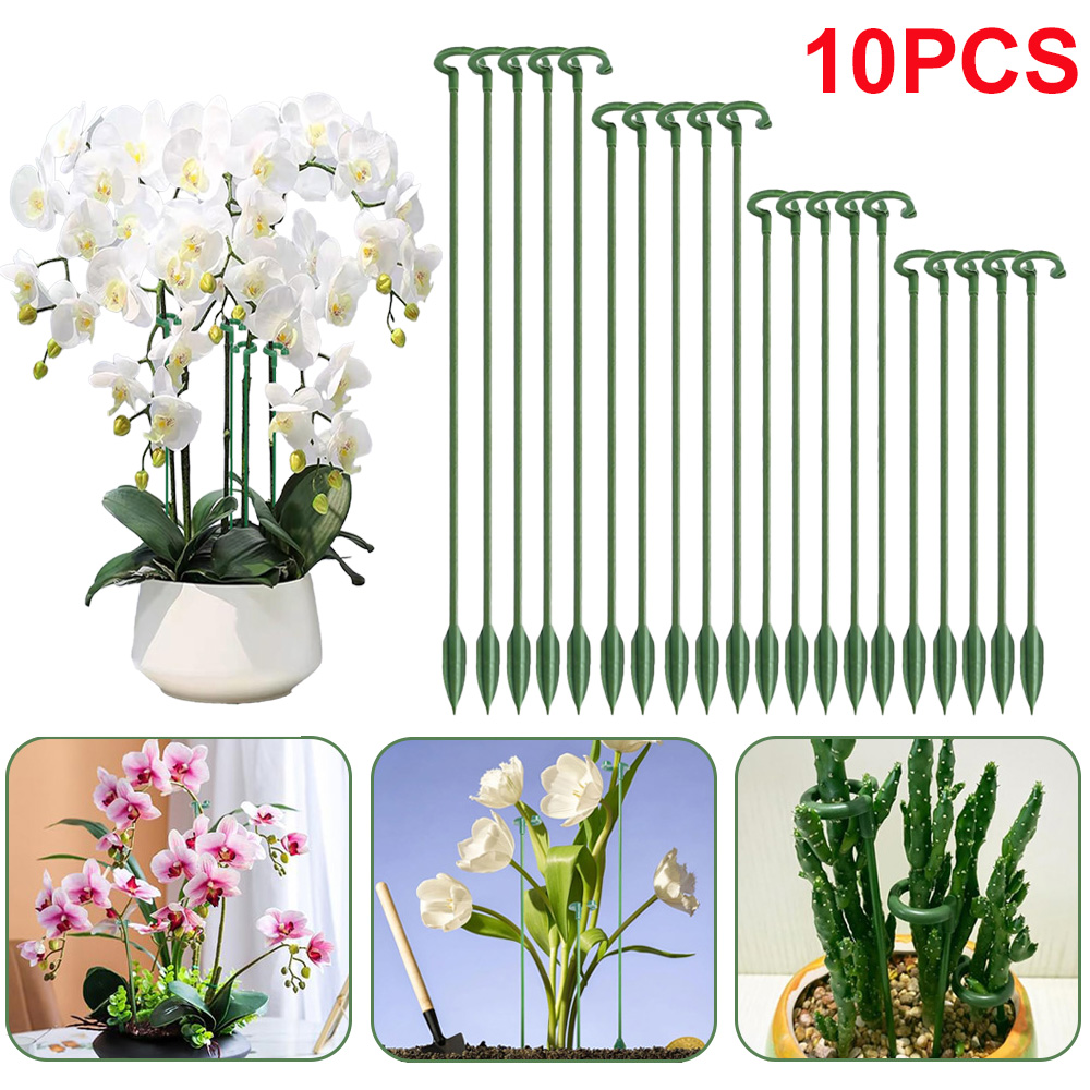 Plant Support Stake - Suportes para Plantas em Vaso (5/10
