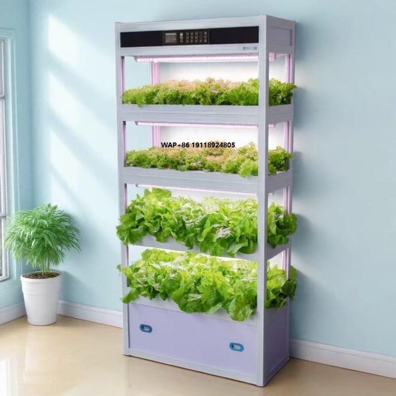 Sistema de Cultivo Hidropônico - Hydroponic System avaliação e preço
