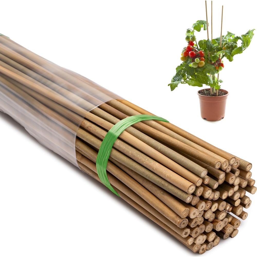 Pacote com 70 Estacas de Bambu - Plant Support Stake avaliação e preço