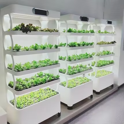 Mini Sistema Hidropônico para  - Greenhouse Mini Indoor avaliação e preço