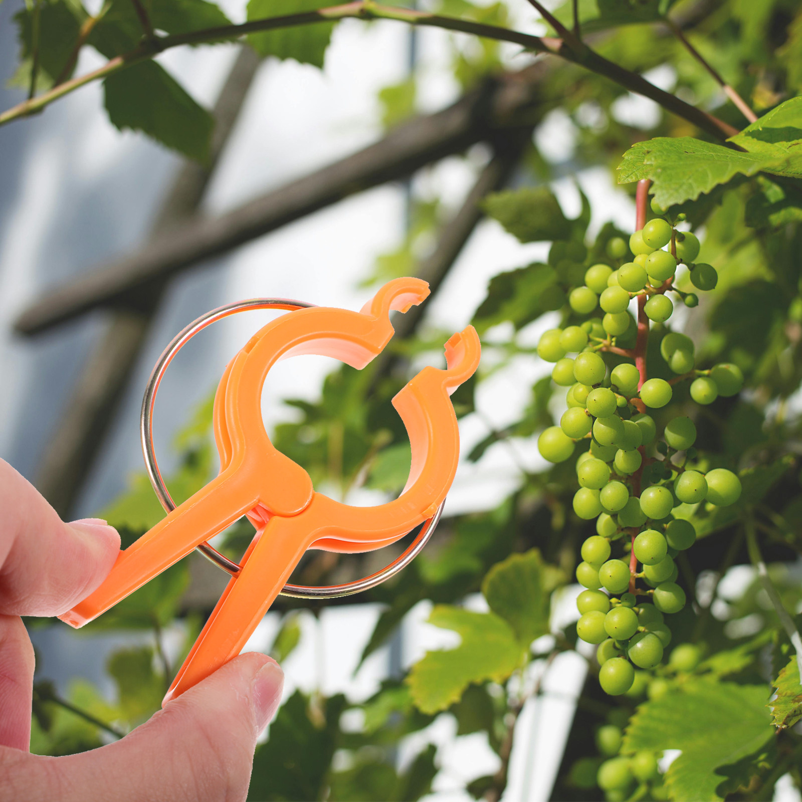 12 Peças de Clipes para Planta - Plant Support Stake avaliação e preço