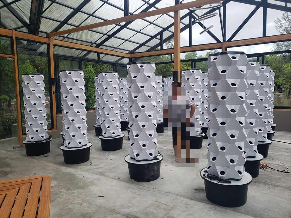 Sistema Hidropônico Vertical p - Hydroponic System avaliação e preço