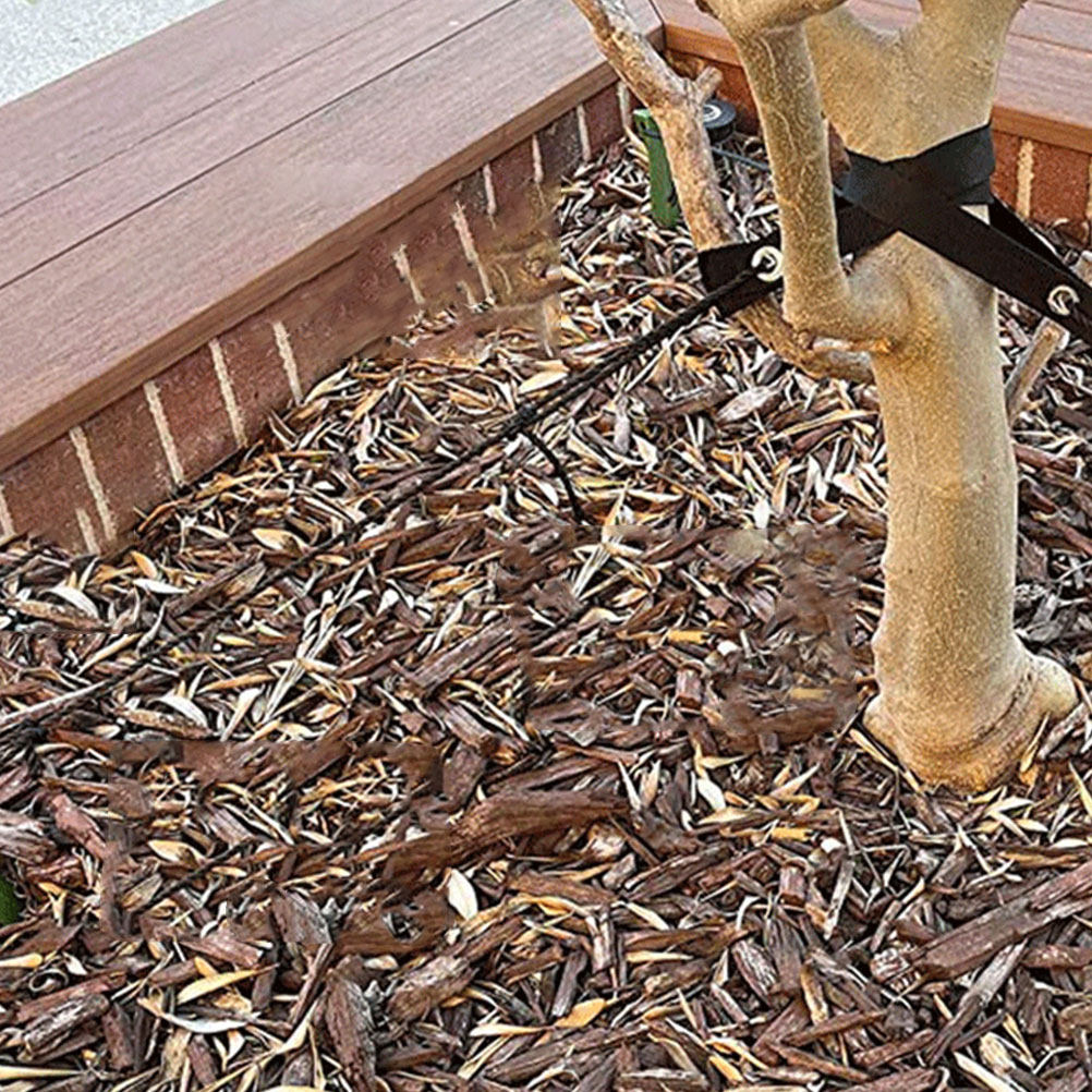 8 Peças de Cintas de Fixação p - Plant Support Stake avaliação e preço