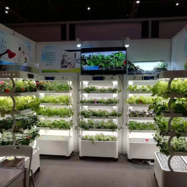 Sistema Inteligente de Cultivo - Hydroponic System avaliação e preço