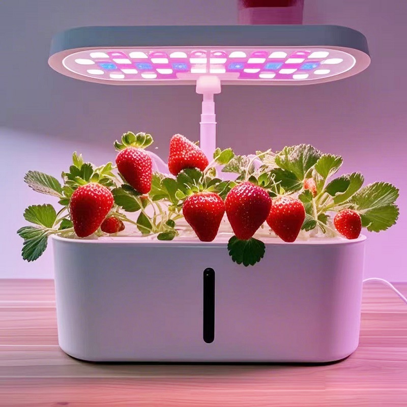 Sistema de Cultivo Hidropônico - Hydroponic System avaliação e preço
