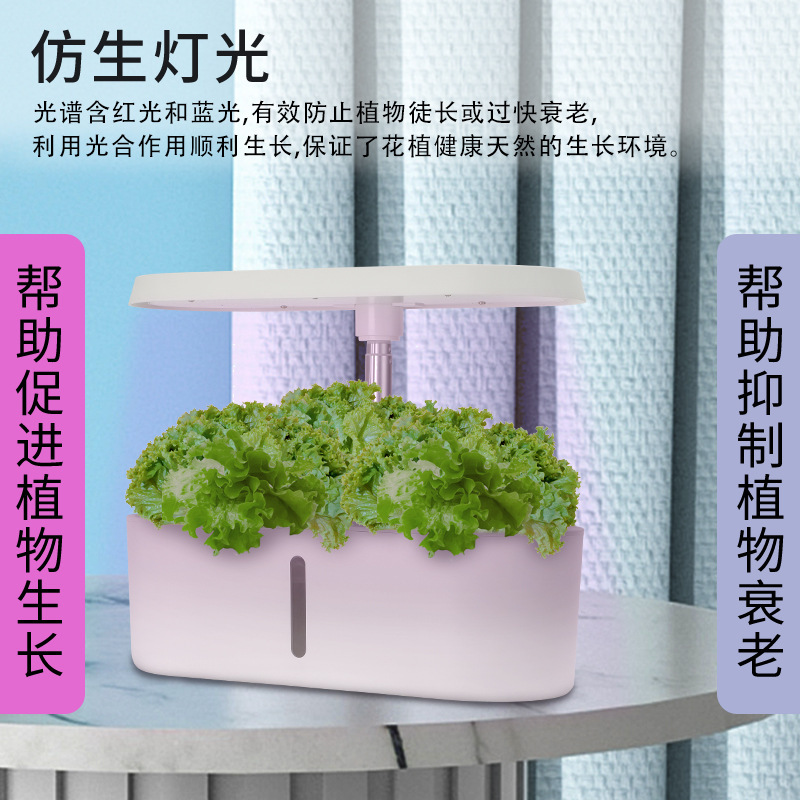 Sistema de Cultivo Hidropônico - Hydroponic System avaliação e preço