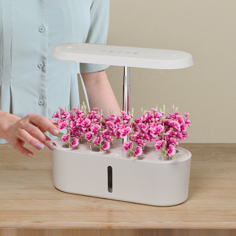 Sistema de Cultivo Hidropônico - Hydroponic System avaliação e preço