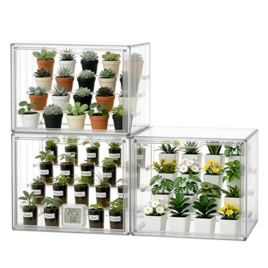 Mini estufa de mesa para plant - Greenhouse Mini Indoor avaliação e preço