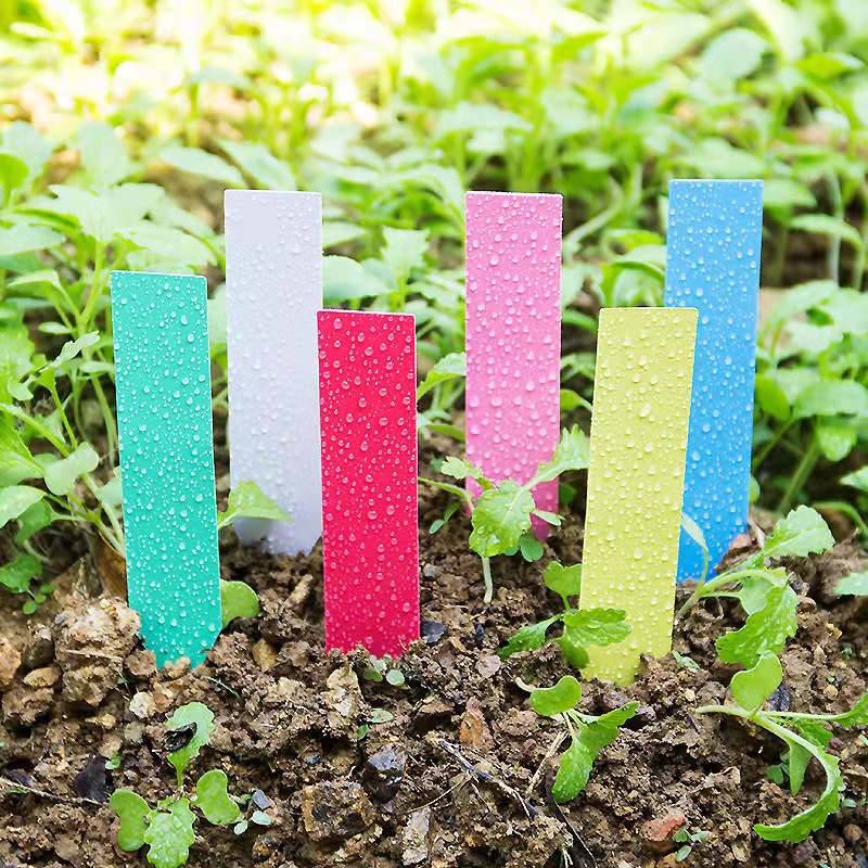 100 peças etiquetas de plantas - Garden Label Marker avaliação e preço