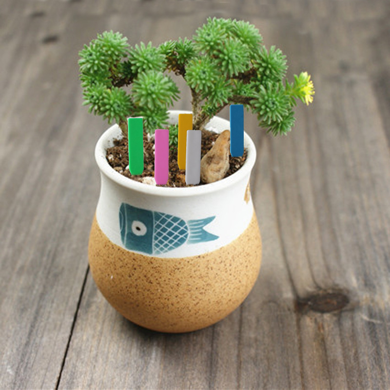 100 peças etiquetas de plantas - Garden Label Marker avaliação e preço