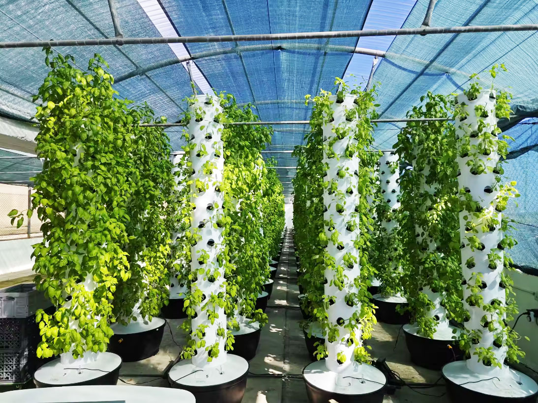 Sistema de Cultivo Vertical Hi - Hydroponic System avaliação e preço