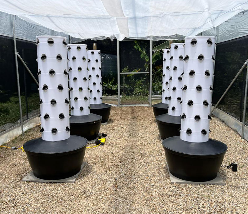 Sistema de Cultivo Vertical Hi - Hydroponic System avaliação e preço
