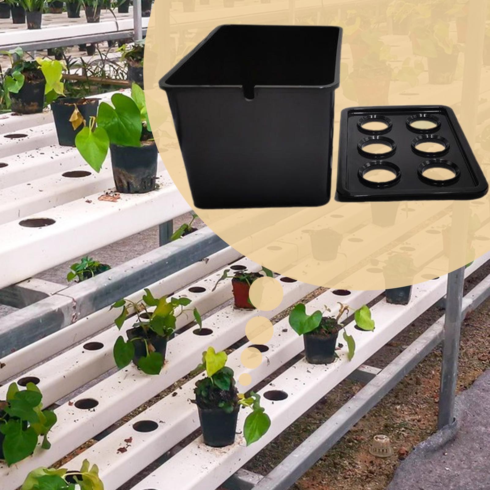 Kit de plantio hidropônico par - Hydroponic System avaliação e preço