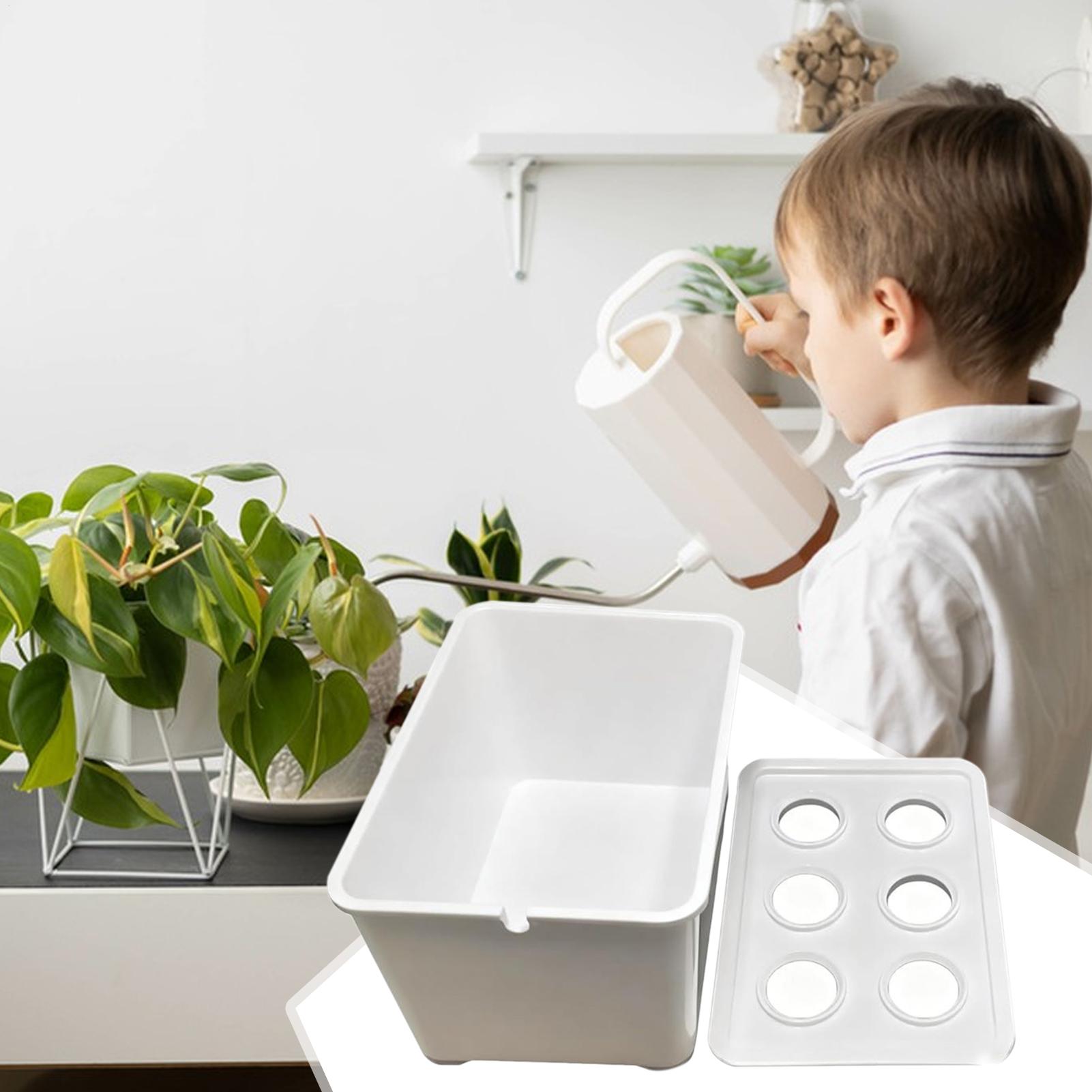 Kit de plantio hidropônico par - Hydroponic System avaliação e preço