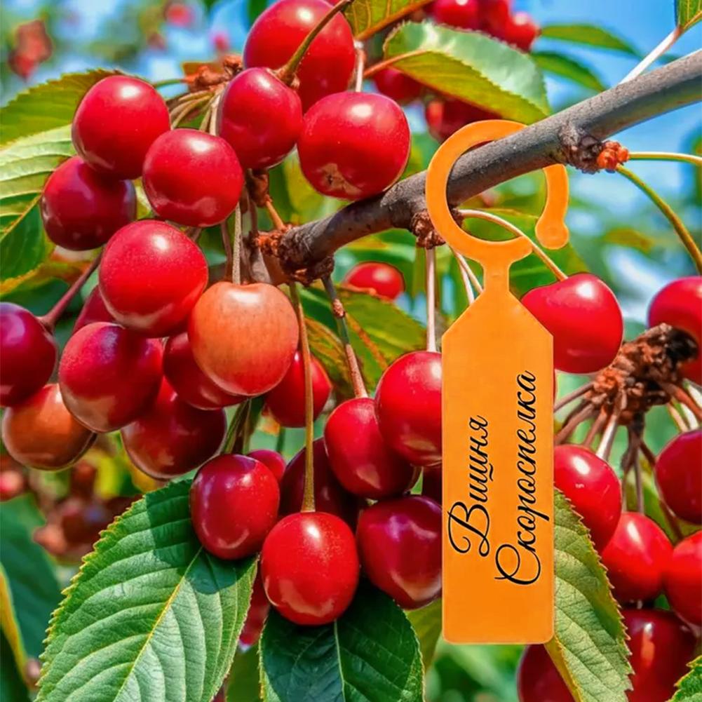 Etiquetas de Jardim Reutilizáv - Garden Label Marker avaliação e preço