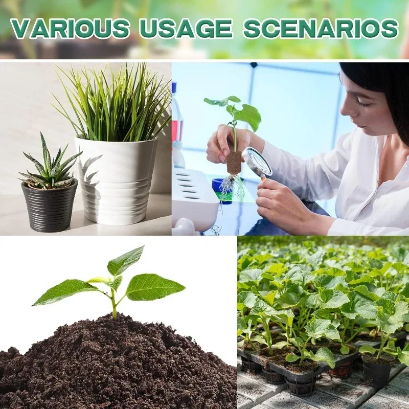 Kit de Esponjas para Germinaçã - Hydroponic System avaliação e preço