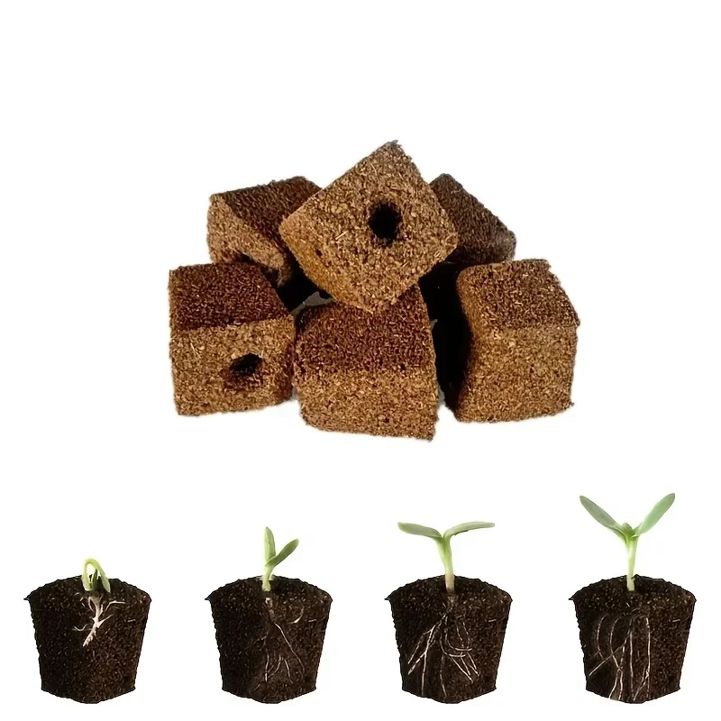 Kit de Esponjas para Germinaçã - Hydroponic System avaliação e preço