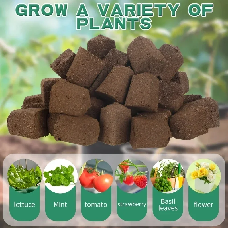 Kit de Esponjas para Germinaçã - Hydroponic System avaliação e preço