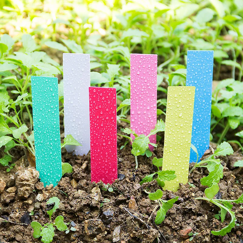 100 pçs grosso 4 polegada plan - Garden Label Marker avaliação e preço