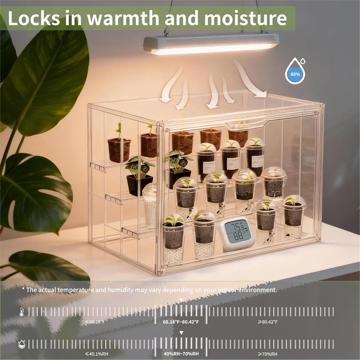 Mini Estufa Industrial Transpa - Greenhouse Mini Indoor avaliação e preço
