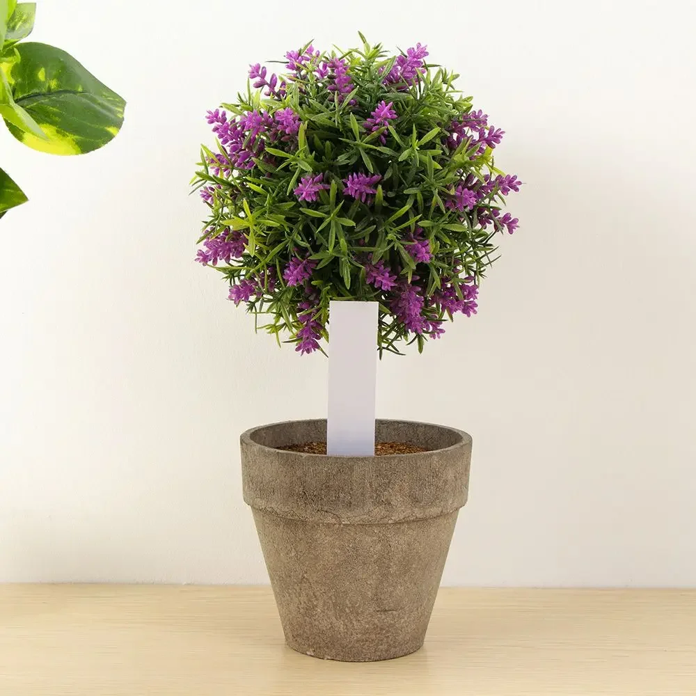 100 pçs marcador de classifica - Garden Label Marker avaliação e preço
