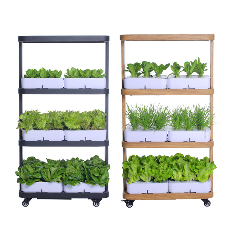 72 furos 6 caixas de plantio L - Hydroponic System avaliação e preço