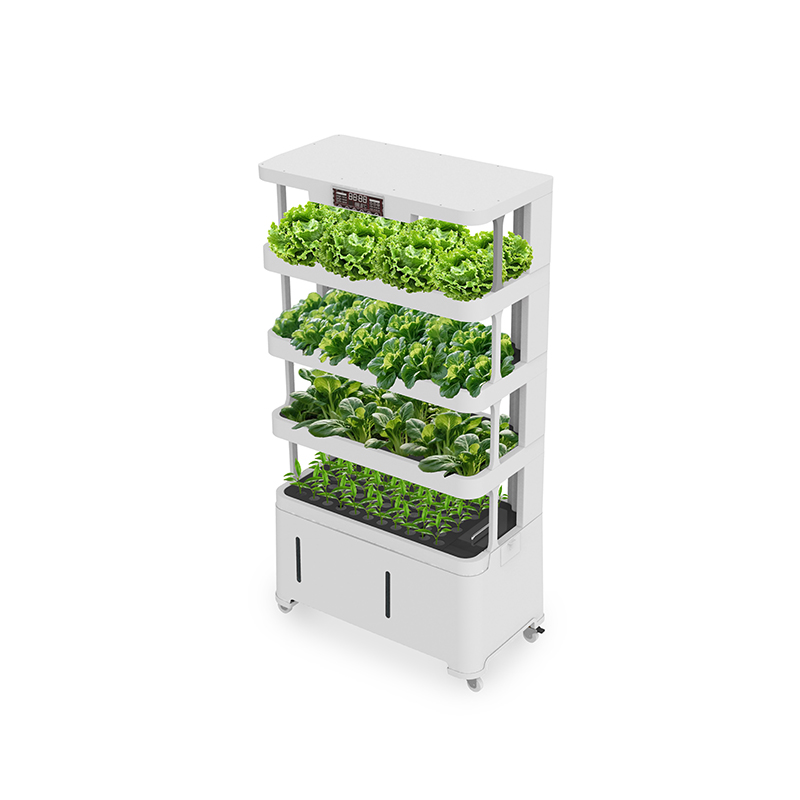 Equipamento Hidropônico Inteli - Hydroponic System avaliação e preço