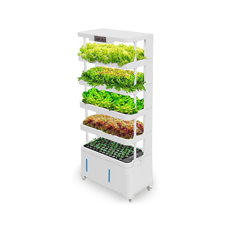 Equipamento Hidropônico Inteli - Hydroponic System avaliação e preço
